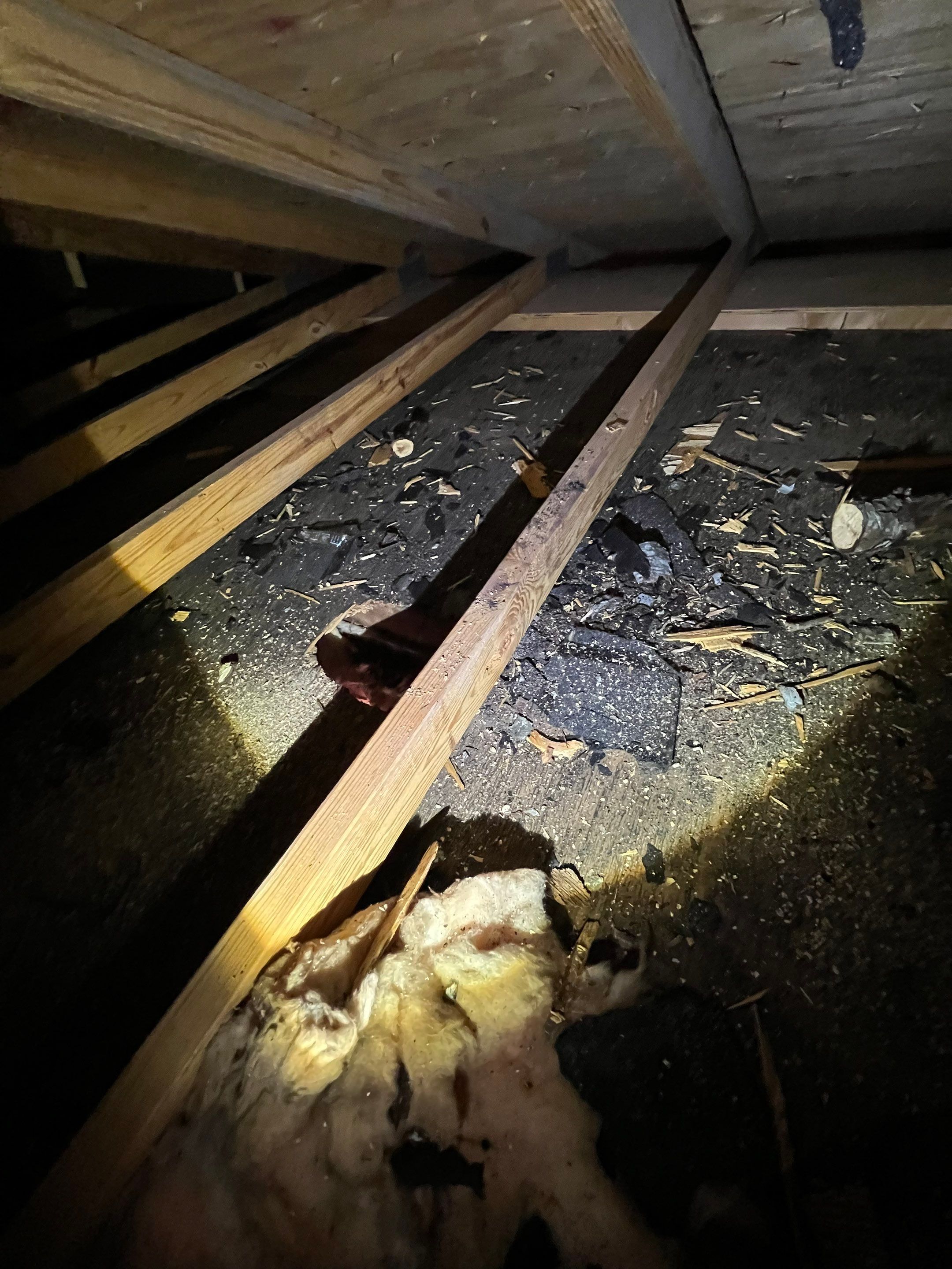 Manassas: CertainTeed Landmark Designer Shingles in Charcoal Black by RM Banning, Inc.