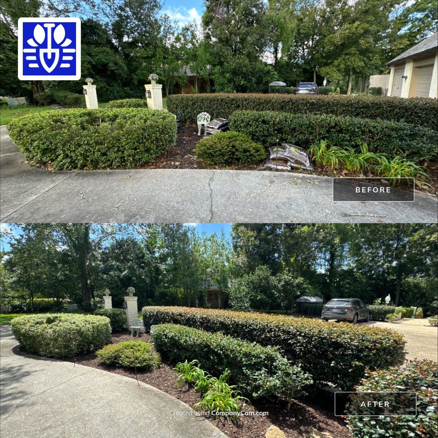 RESIDENTIAL LAWN MAINTENANCE by CutScape, LLC.