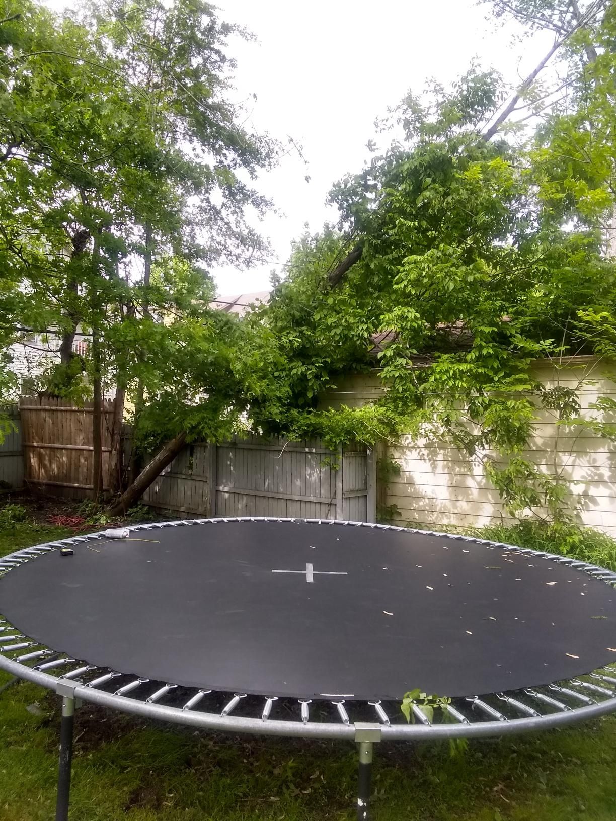 Tree Removal using Tree Removal by Mike Jones & Sons Tree Service LLC 