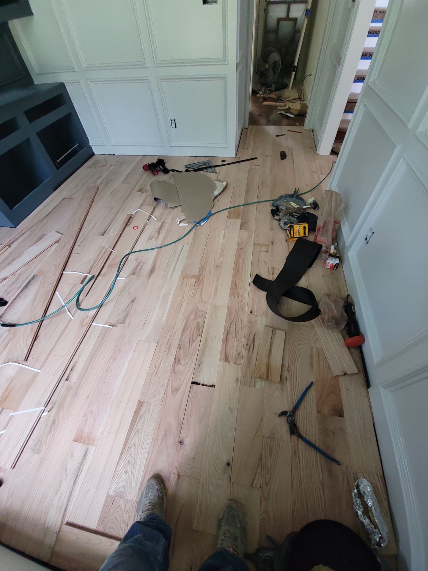 The Napolitano Family by SophAlx LLC