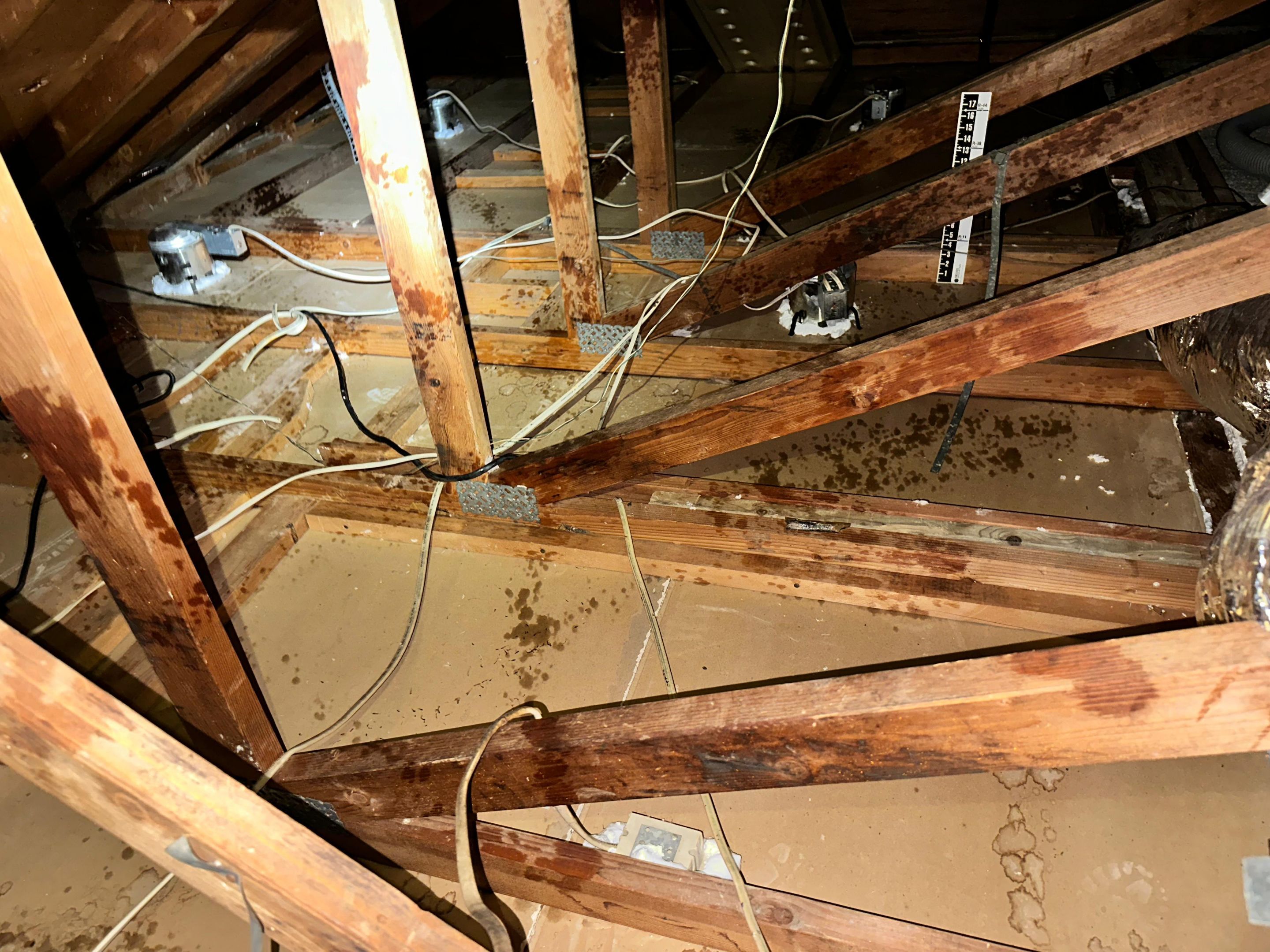 Project in Irvine by Insulation Labs