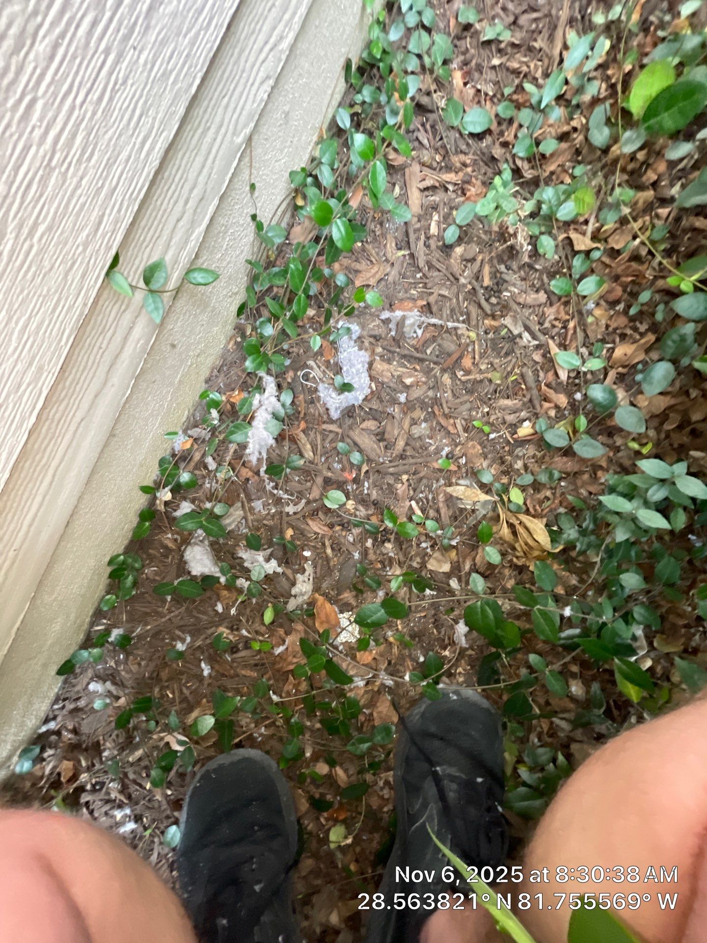 Dryer Vent Cleaning in Clermont by Hygienic Air, Inc