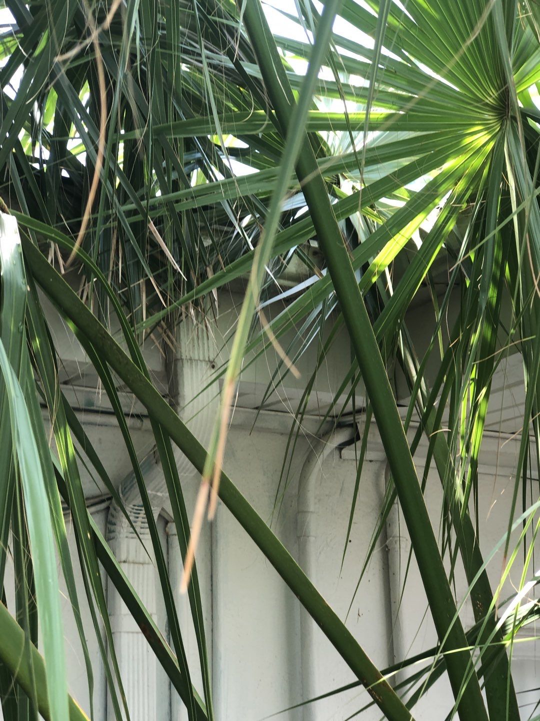 Gutter Installation using K-Style Seamless Gutters by Gutter Professors
