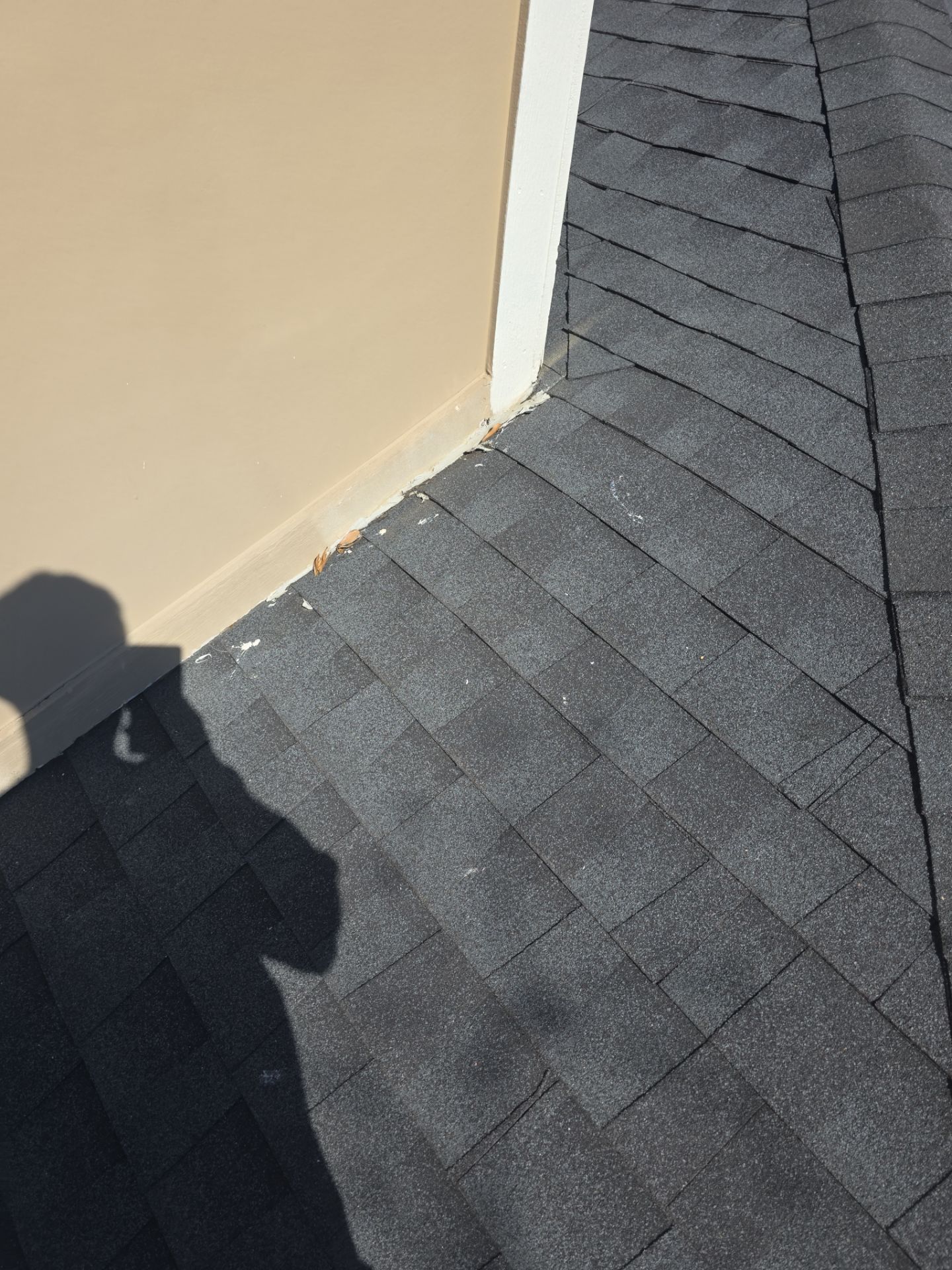 Our salesmen actually WORK for you! by REPS Austin Area Roofer
