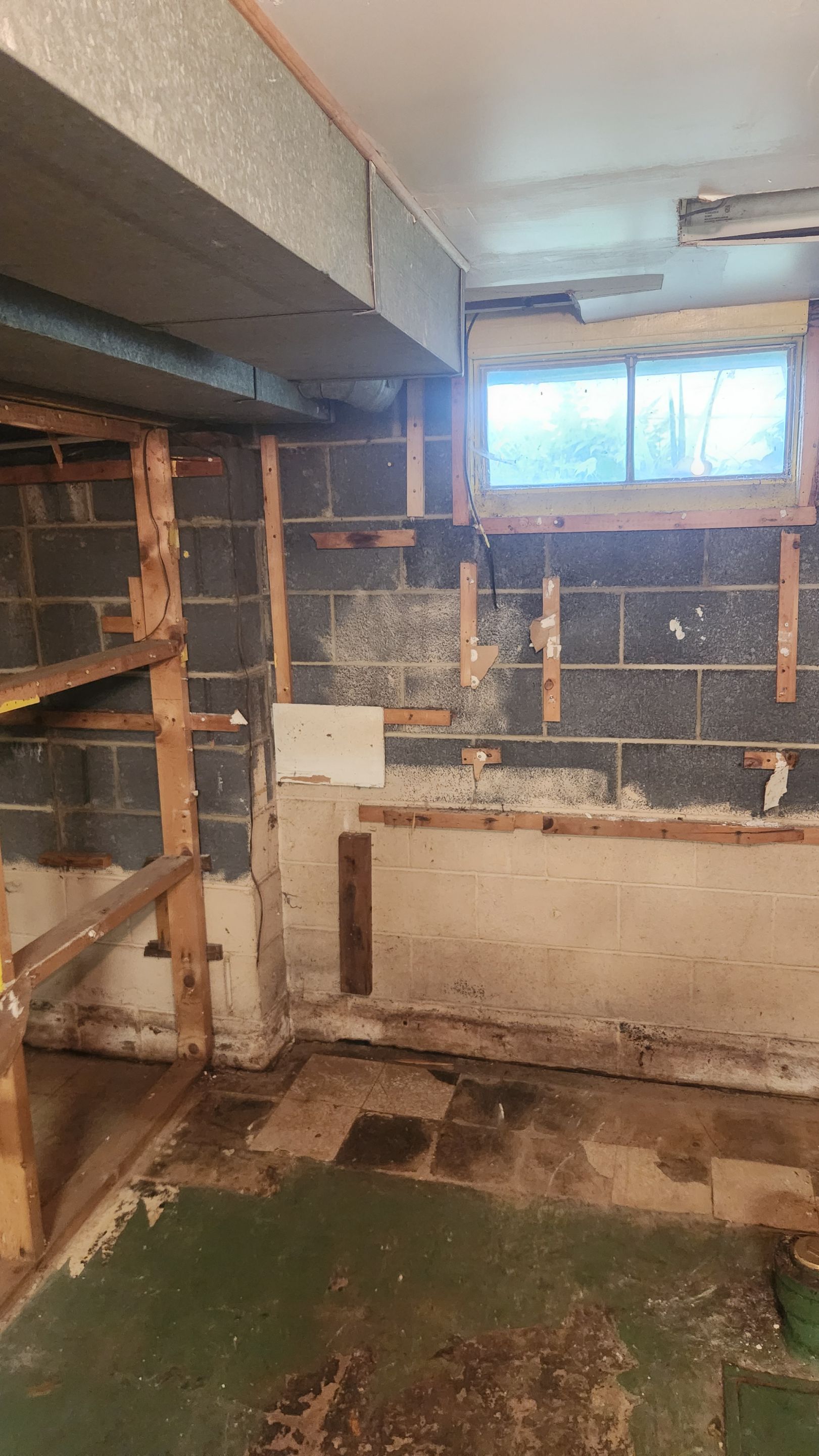 Interior French Drain & Mold Remediation Project in Manville, New Jersey by Pure Service Pro, LLC 