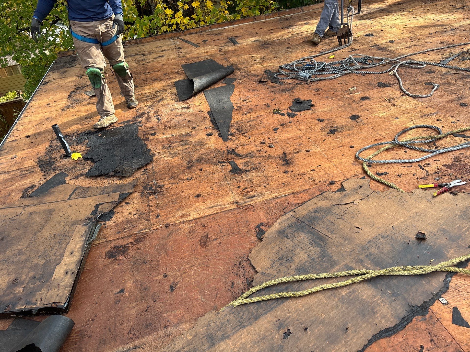 Project in Portland by Peak Exteriors LLC