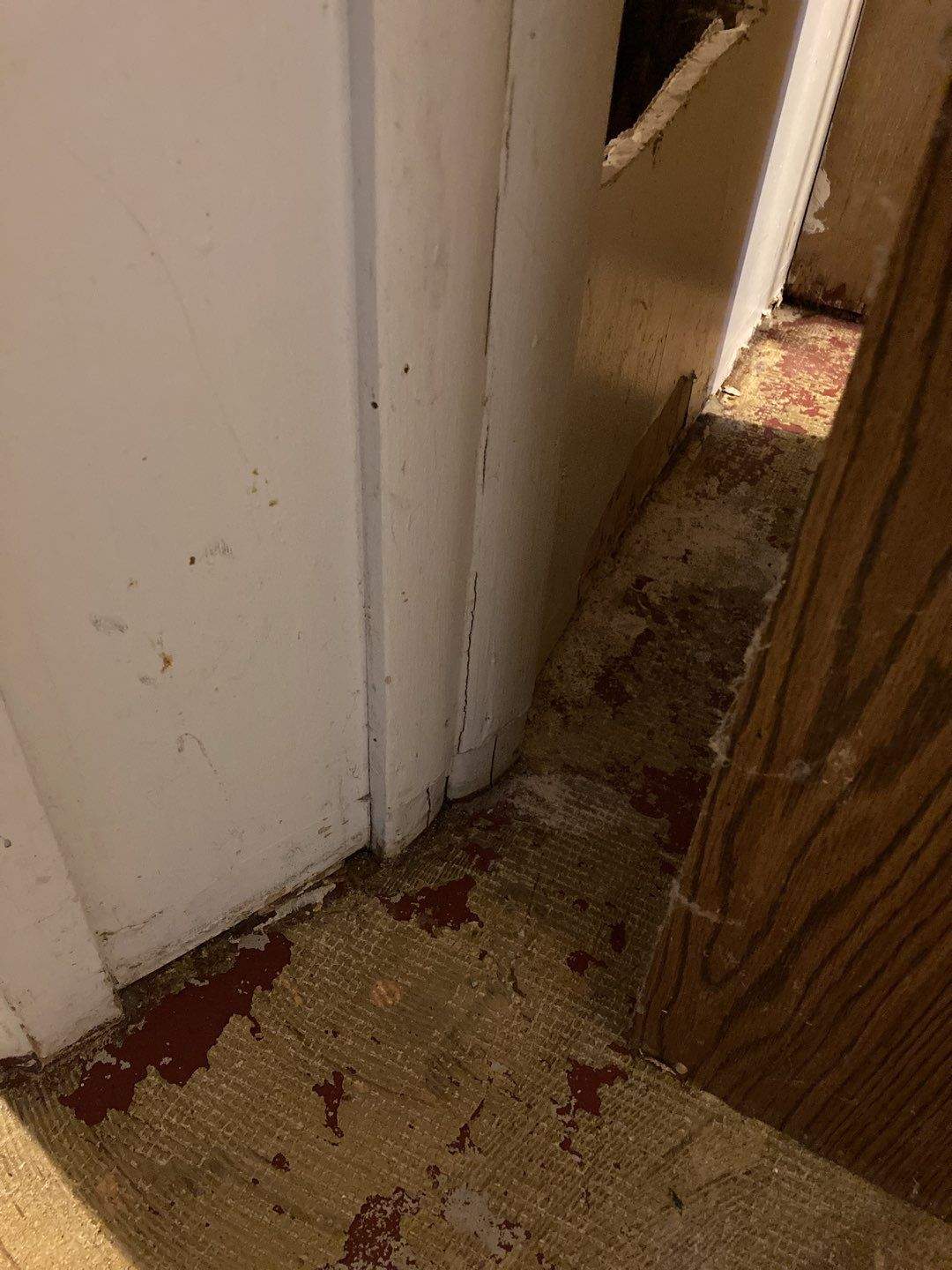 Mold Remediation in Basement by Accountable Home Services