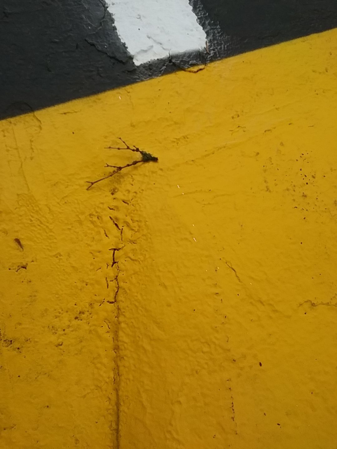 Eastside Preparatory School | Asphalt & Striping  by Jireh Asphalt & Concrete Inc 