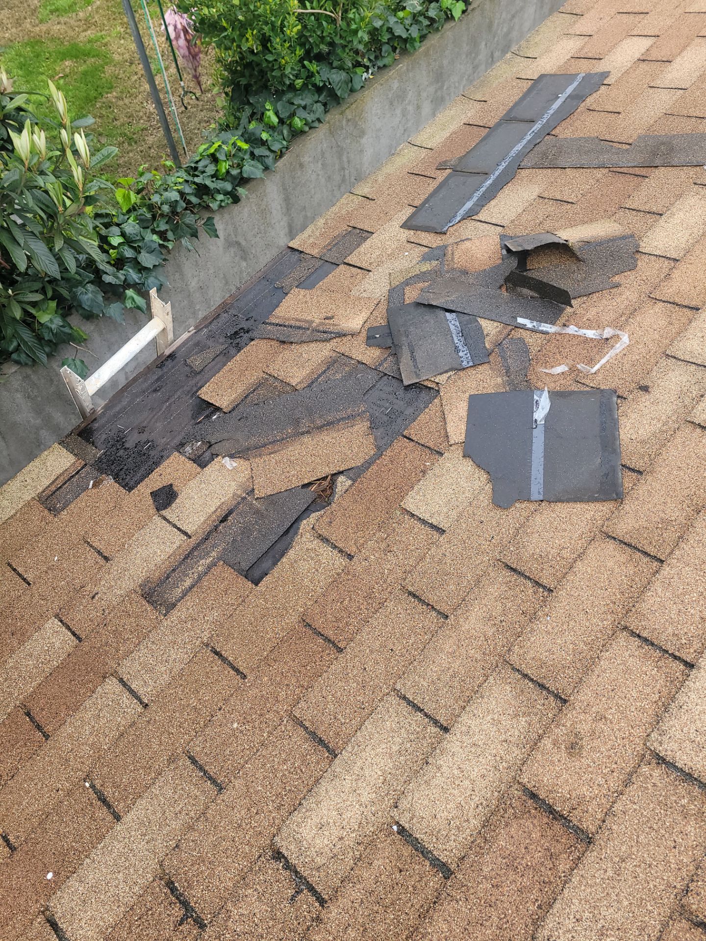 Shed Re-Roof by McCray's Handyman, Inc.