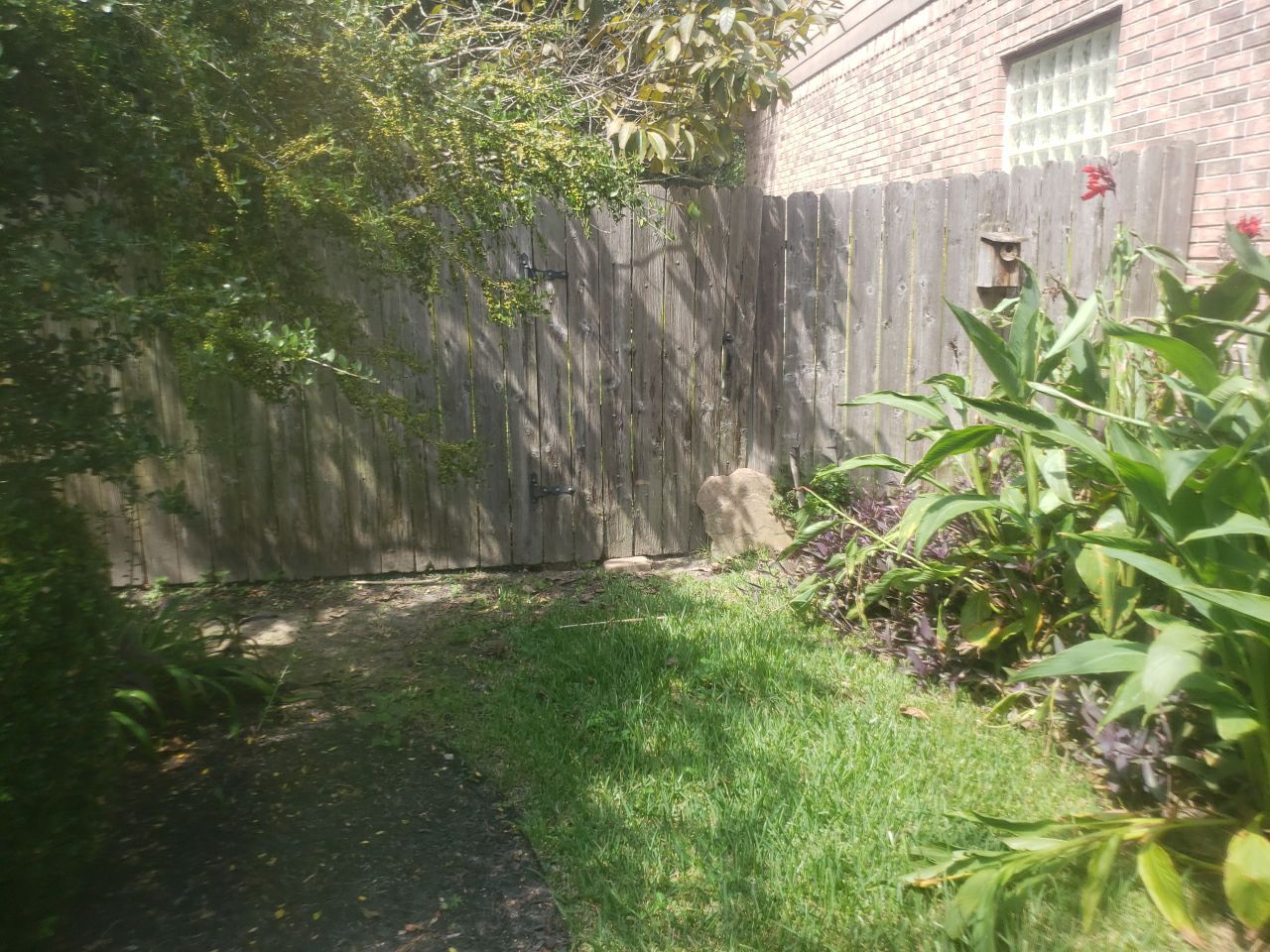 6'6" Western Red Cedar Fence Install by Astro Outdoor Designs 