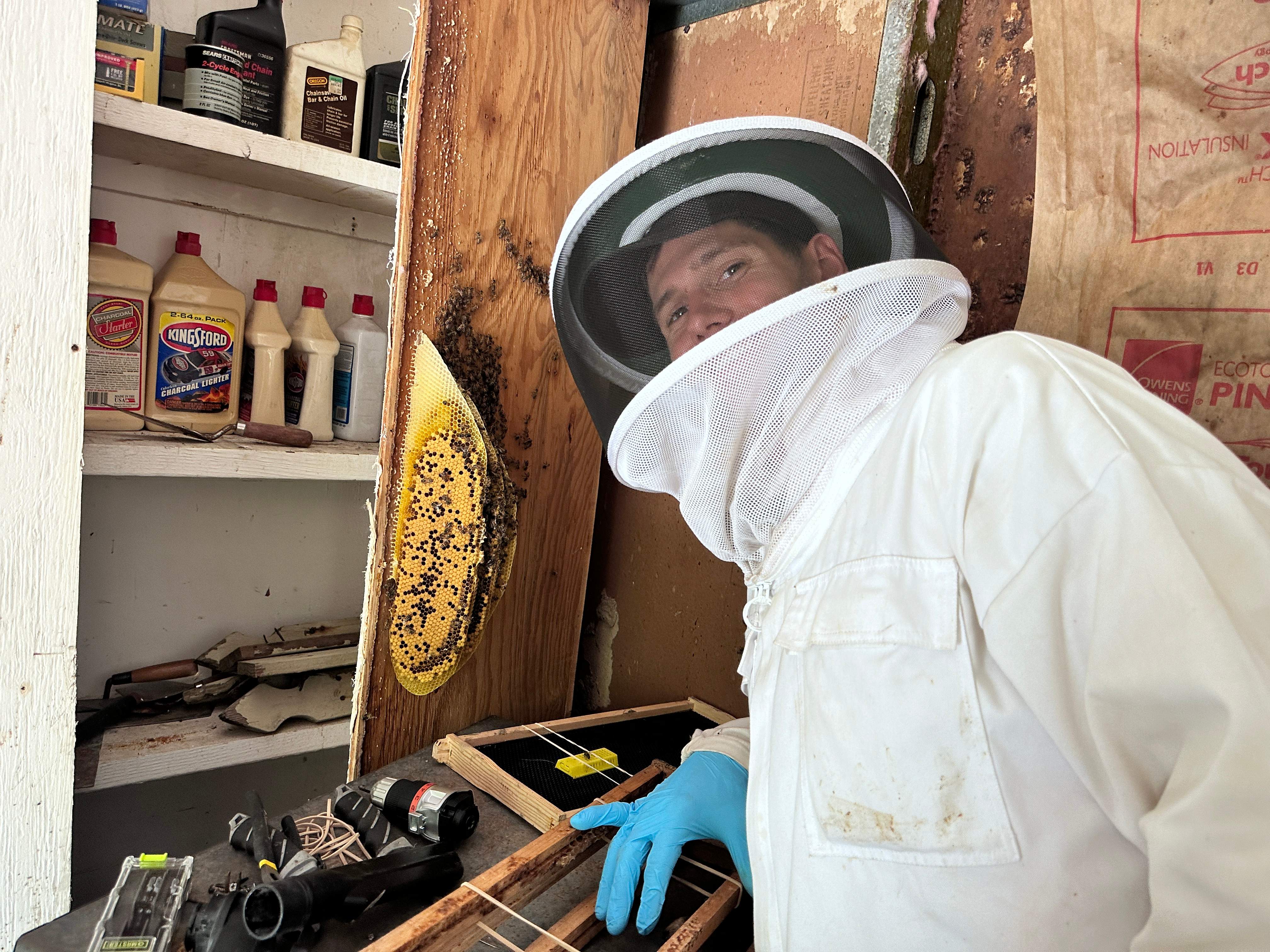 Two Colonies, One Property by Rockwall Honey Bee Company