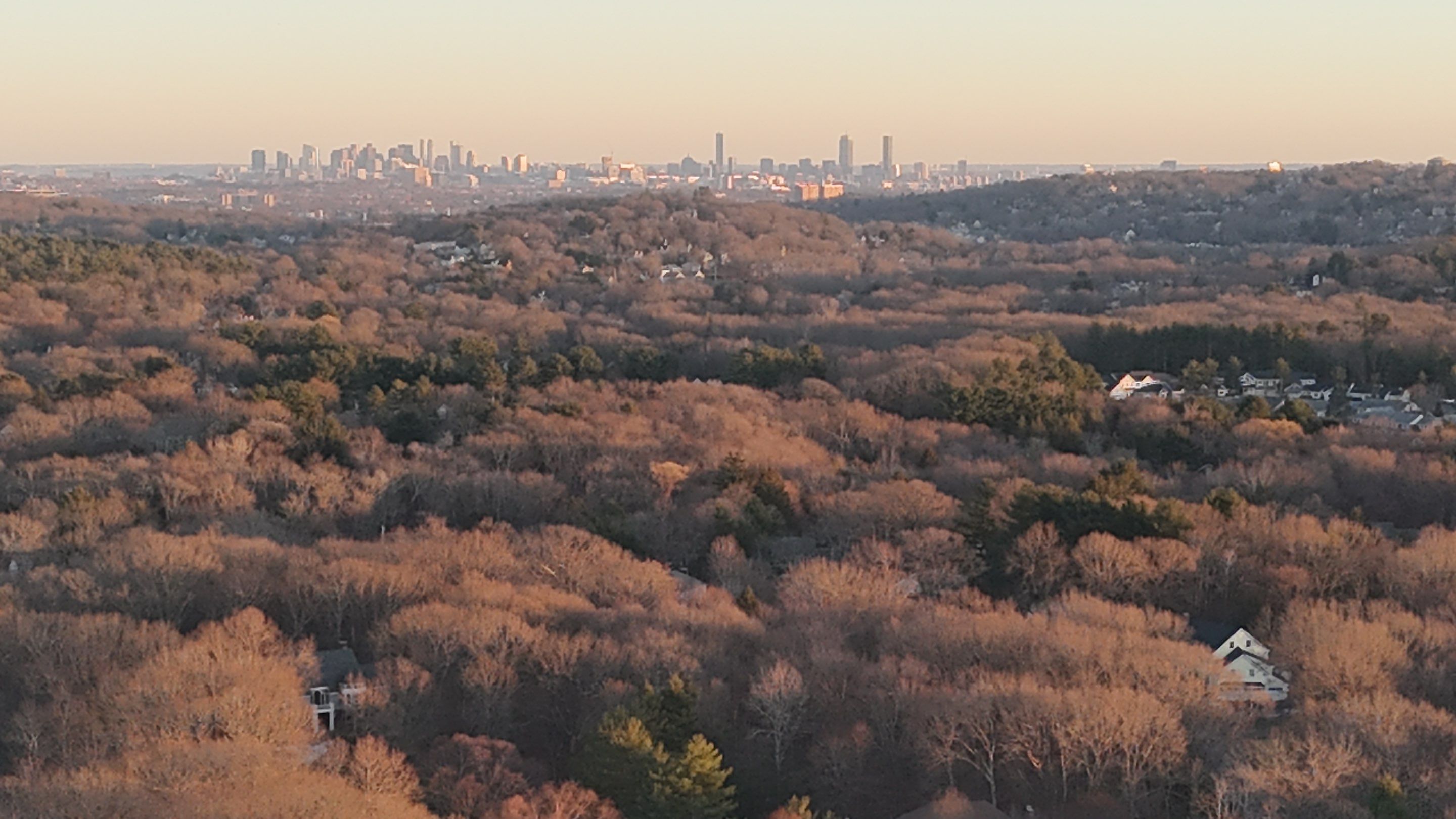 Premium Roofing & Metal Project in Lexington by Mighty Dog Roofing of Greater Middlesex County