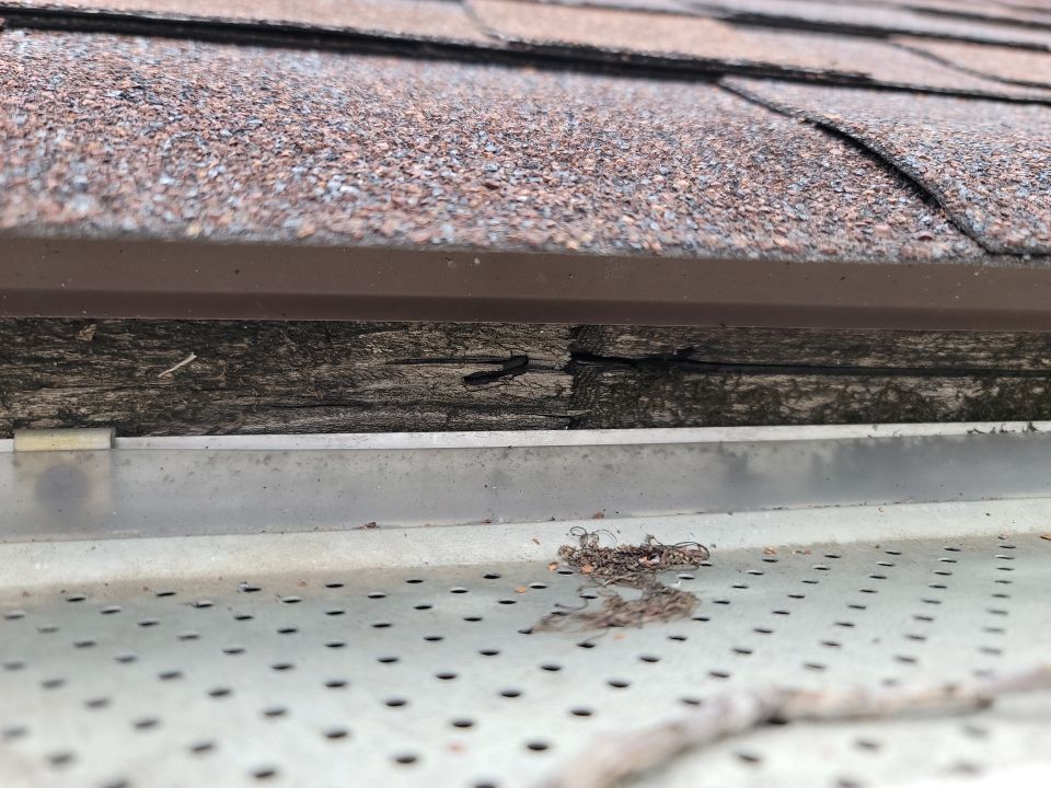 Brand: Atlas Pinnacle Color: Pristine Scotchgard Black Drip: Black by Eagle Eye Roofing