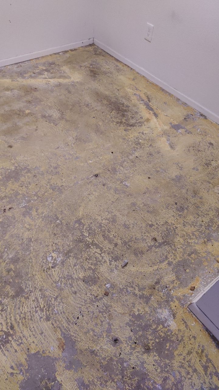 Water Damage by Accountable Home Services