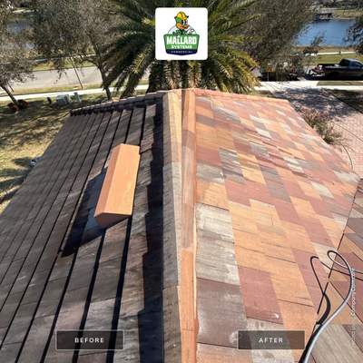 Flat Tile Roof Cleaning