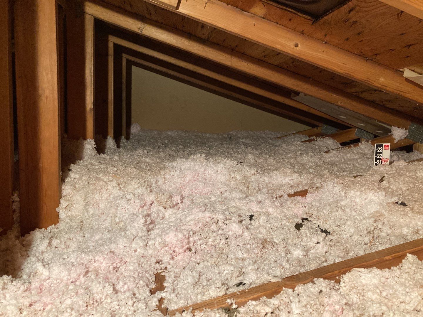 Mold Remediation in Attic by Accountable Home Services