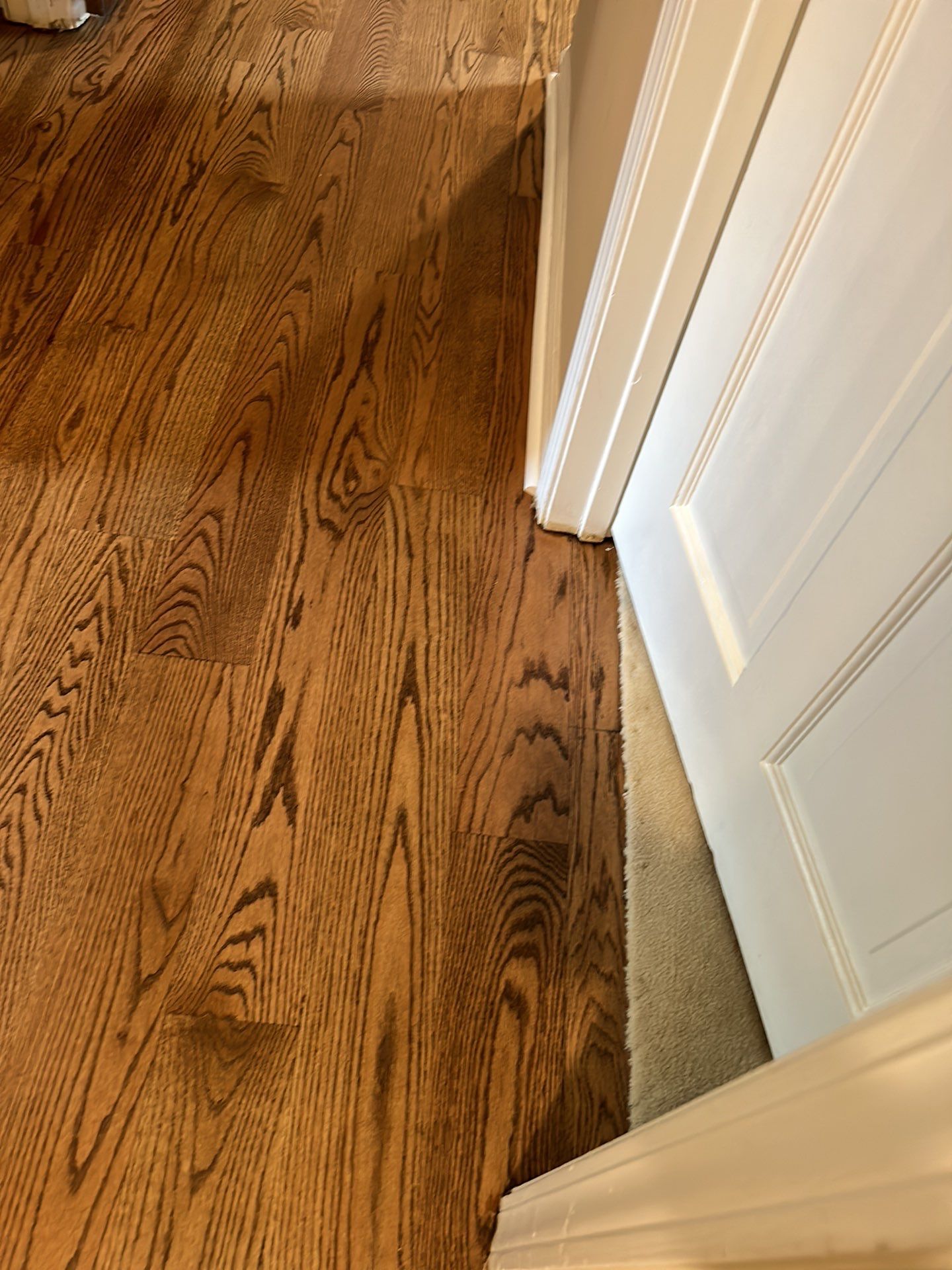 Gorgeous 5" wide Select Red Oak by Footprints Floors of East Atlanta