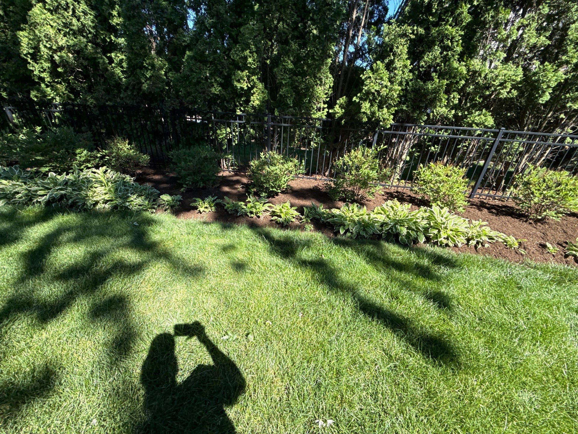 Lesley D. - Arlington Heights, IL by A&N 