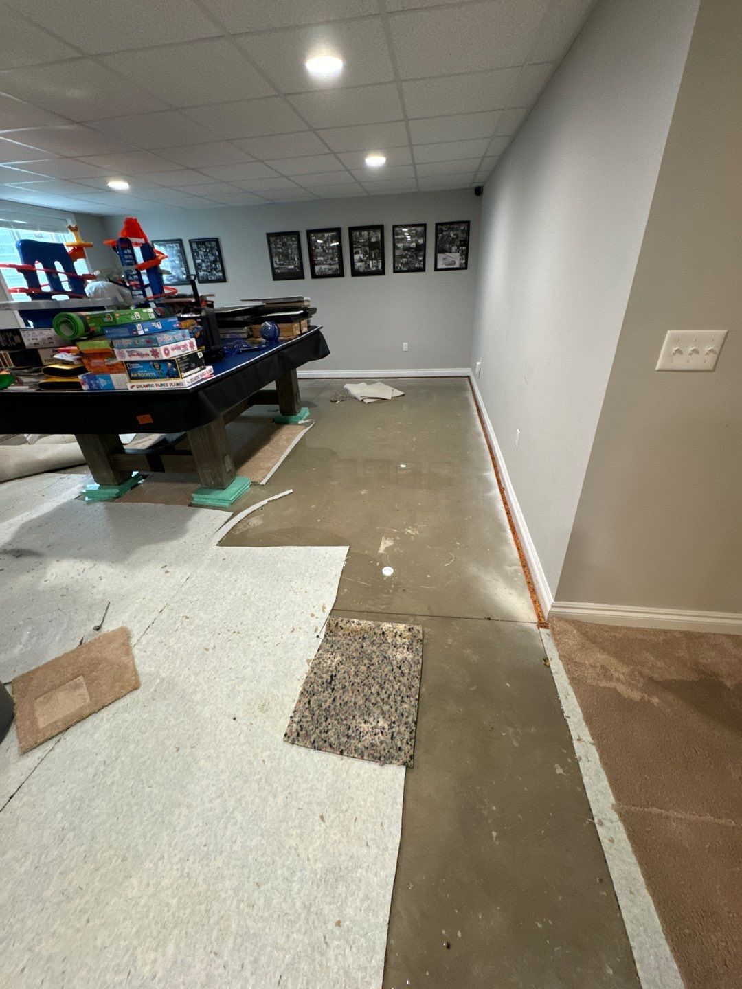 Project in South Lyon by EzDry Water Mitigation & Property Restoration