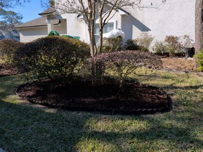 Flower Bed Cleanup & Mulch Preparation — Jacksonville Beach
