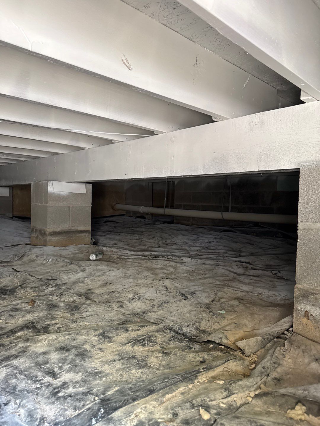 Real Estate Mold Remediation by Healthy Home Solutions