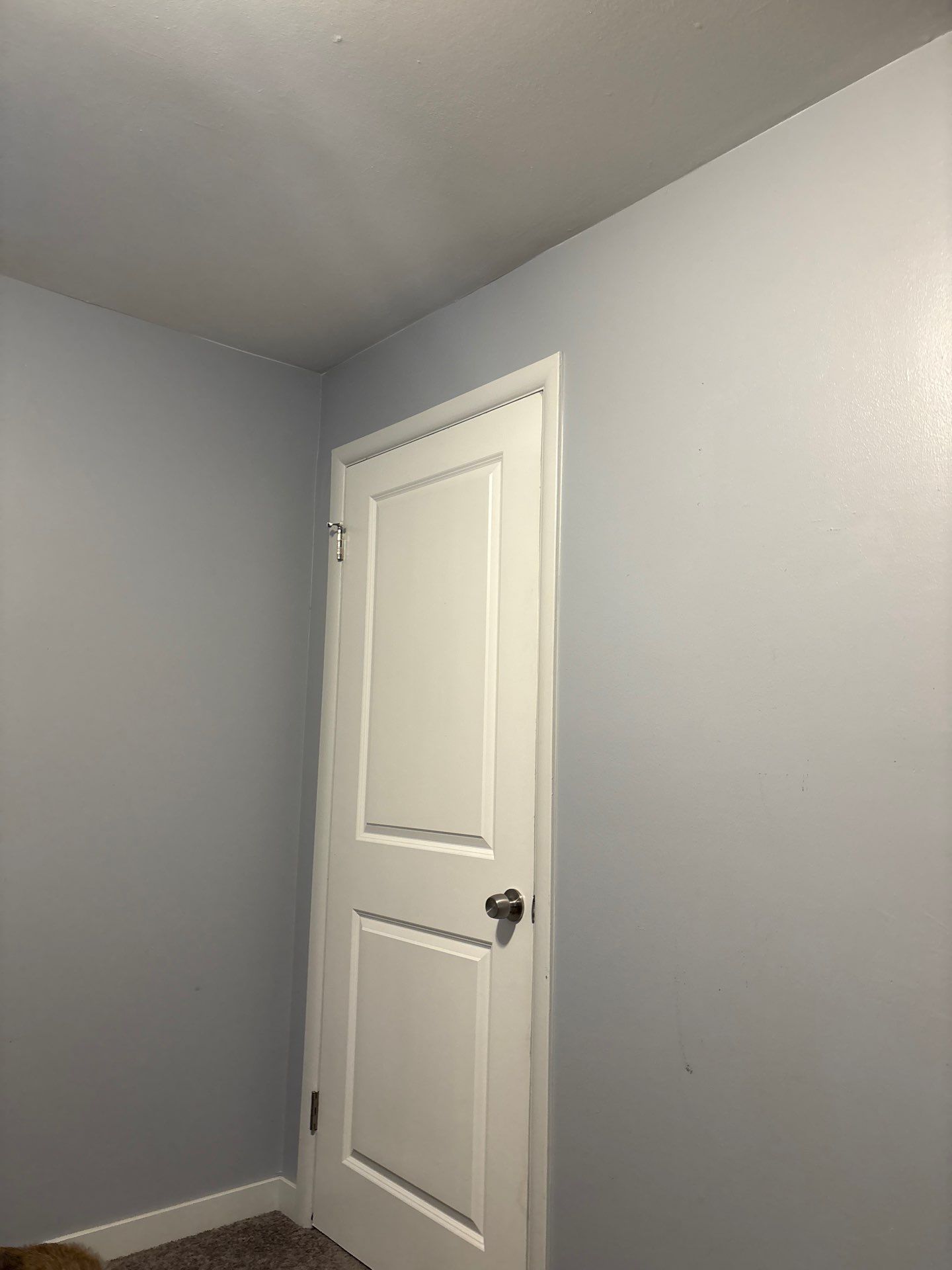 Arvada Interior Drywall Repair and Horizontal Blind Installation by CompanyCam Sales Demo