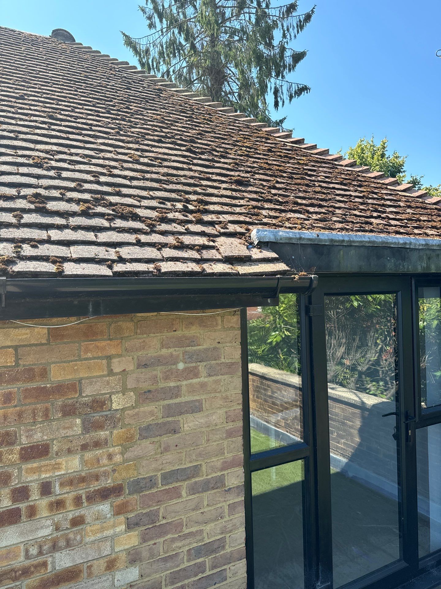 Roof Clean  - Moss Removal - Gutter Clean using Honda 15lpm Low Pressure Washing Machine by Ges Exterior Cleaning ltd