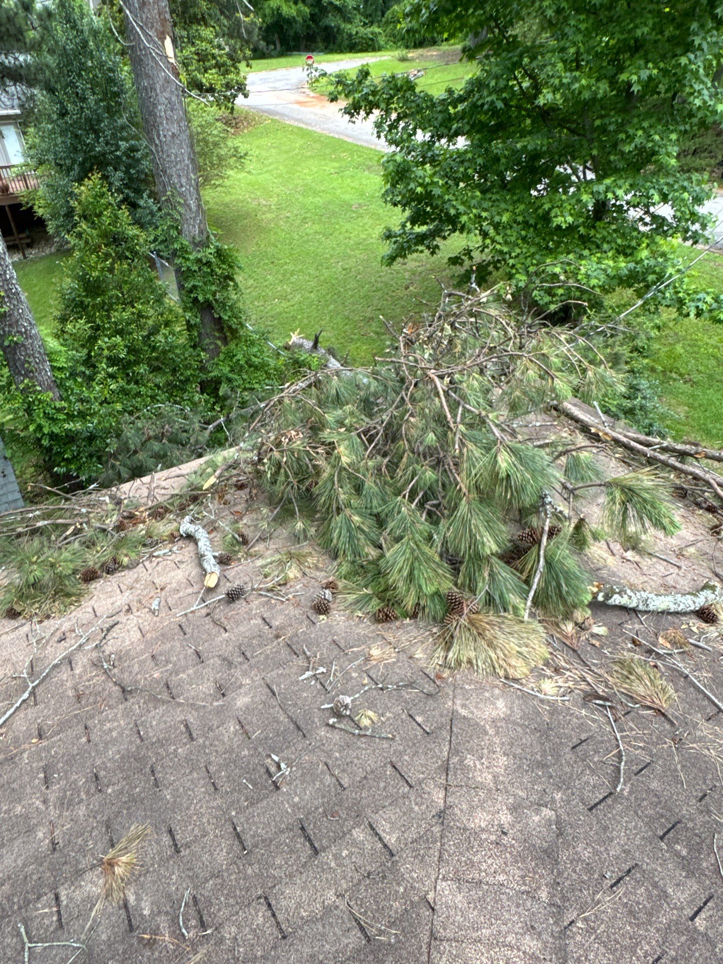 Shingle Replacement in Irondale (Barkwood) by The Roofing Dudes