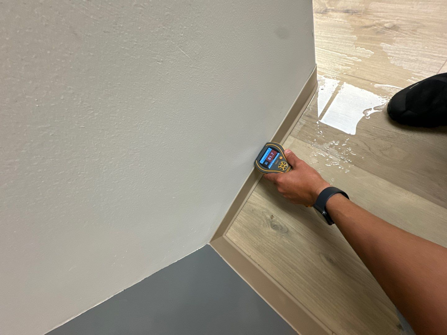 Project in Southfield by EzDry Water Mitigation & Property Restoration