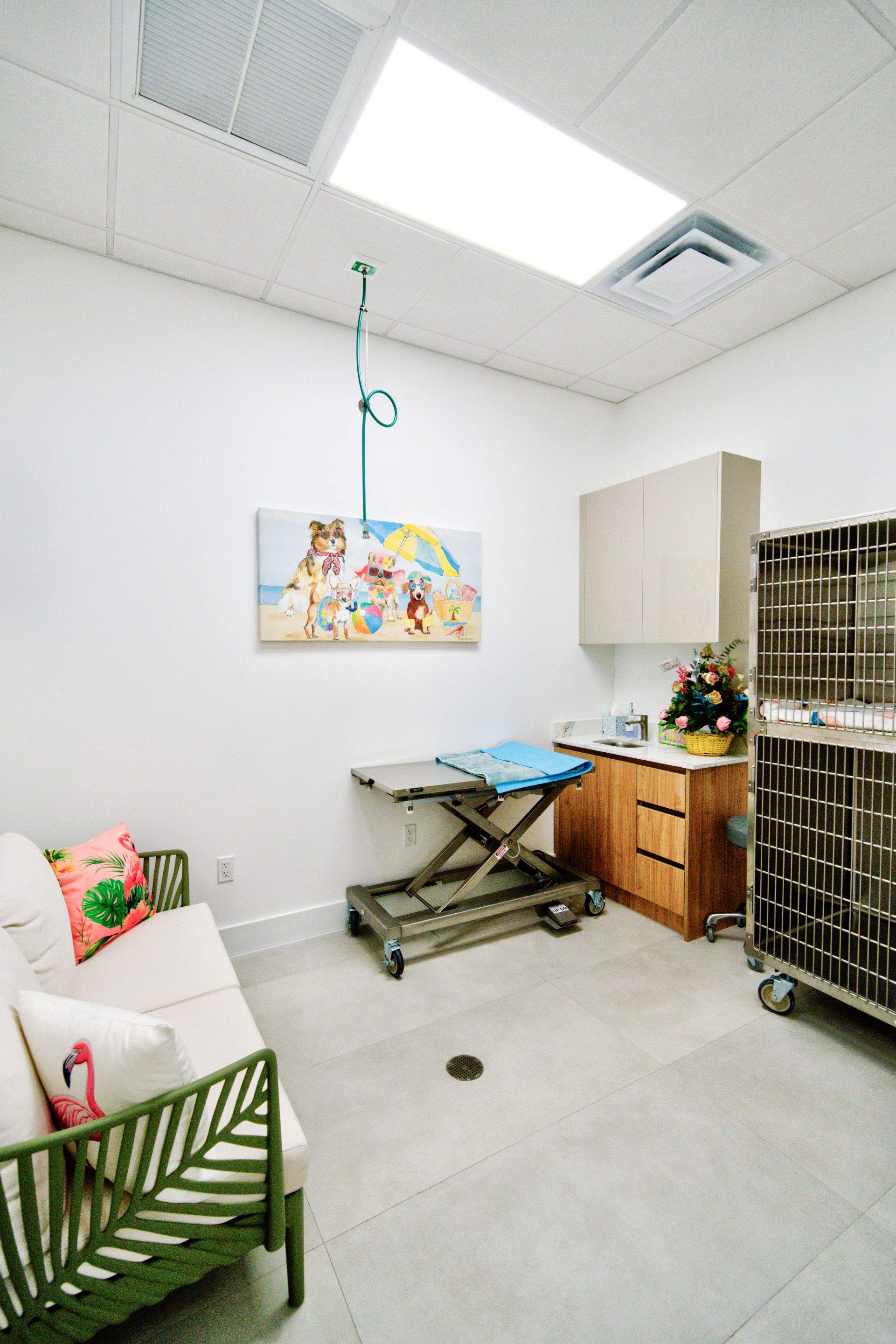 Happy Pet Eyes by Ruiz Construction Inc