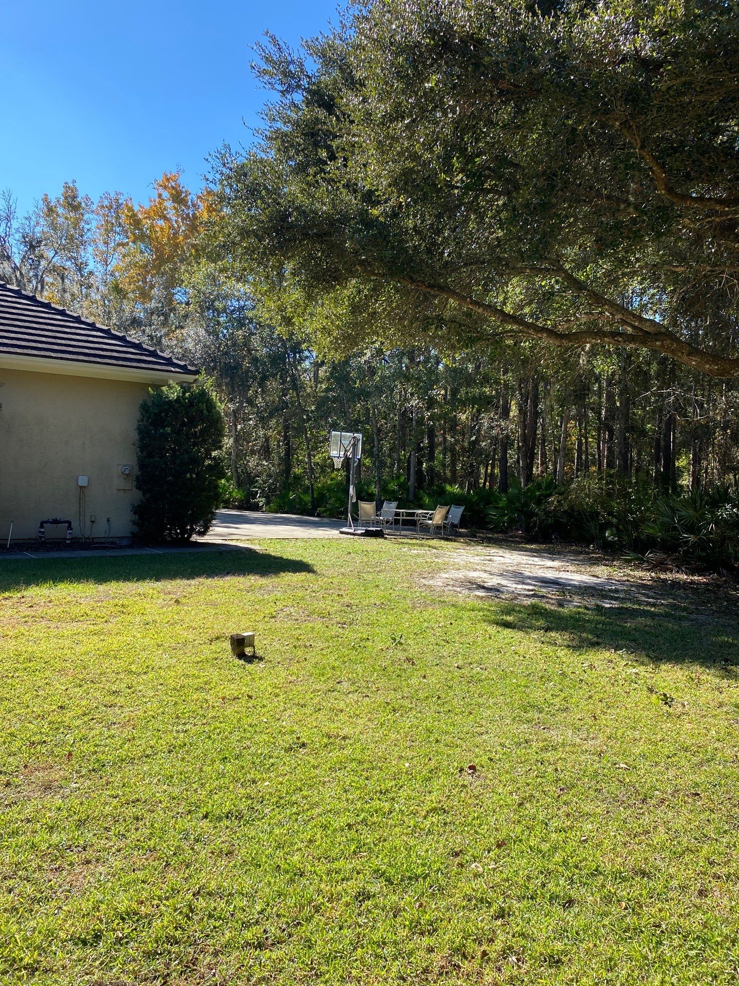 Deerwood Residence | Tree Work by ProGreen Services