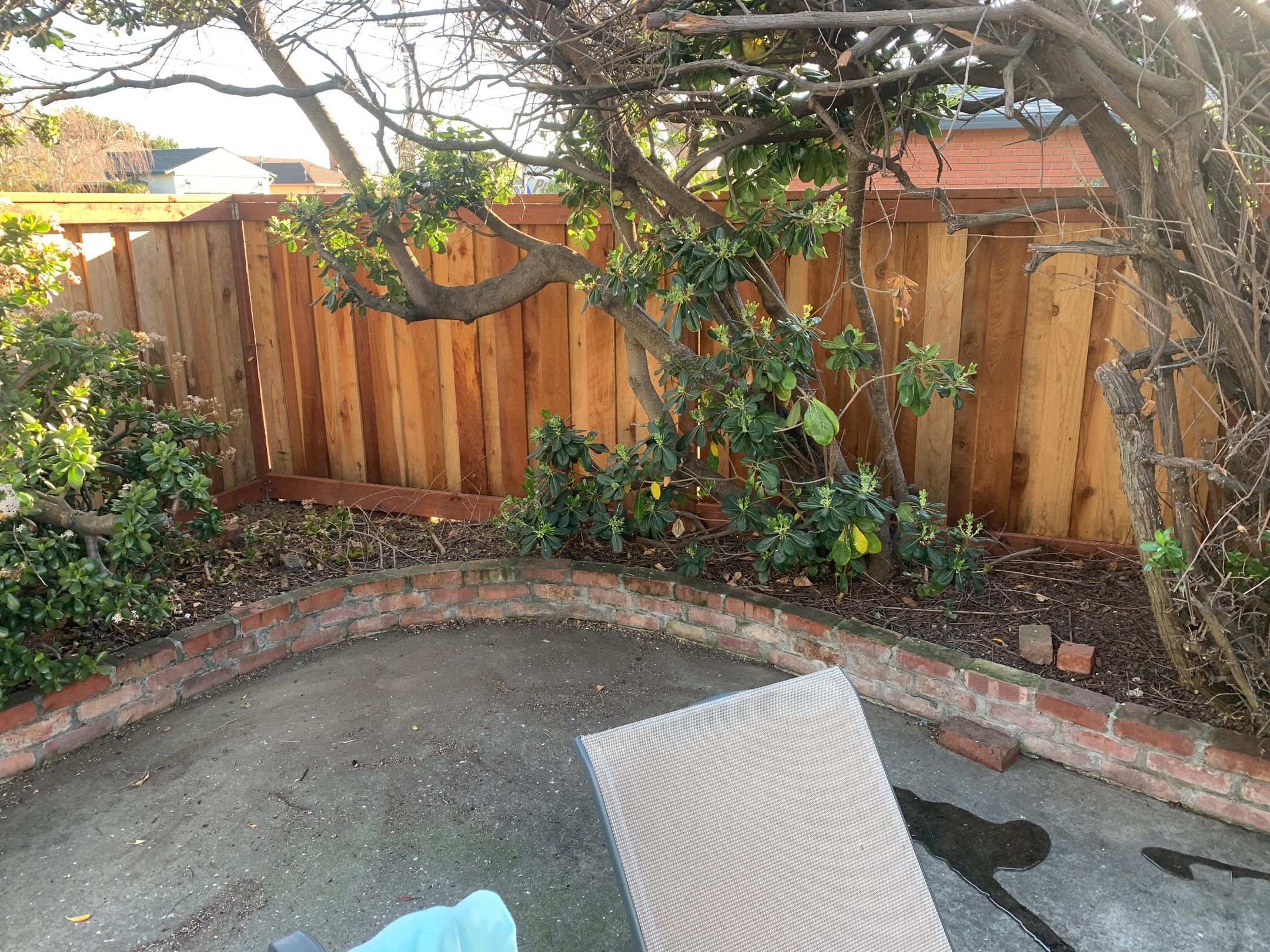 Donna Young’s Home by SpotFree Window Cleaning