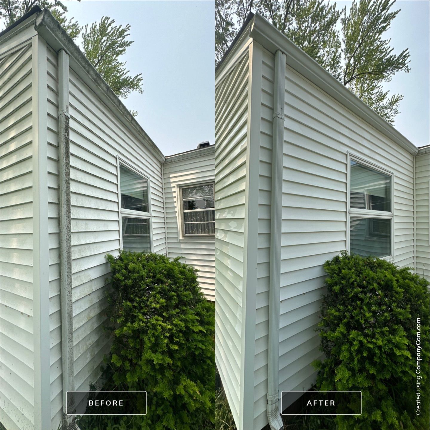 Project in Ringwood by Simmons Power & Soft Washing