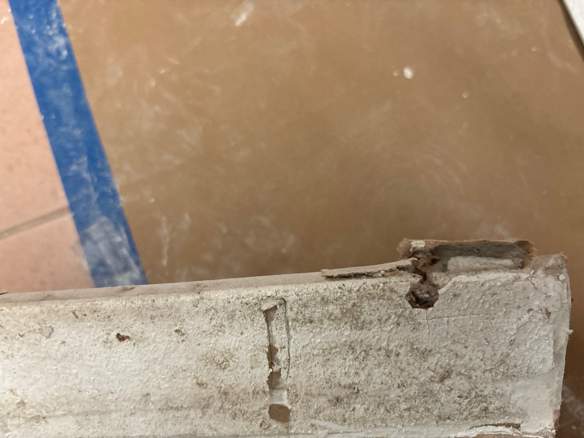 Mold Removal & Remediation  by Ampm Restoration Services 