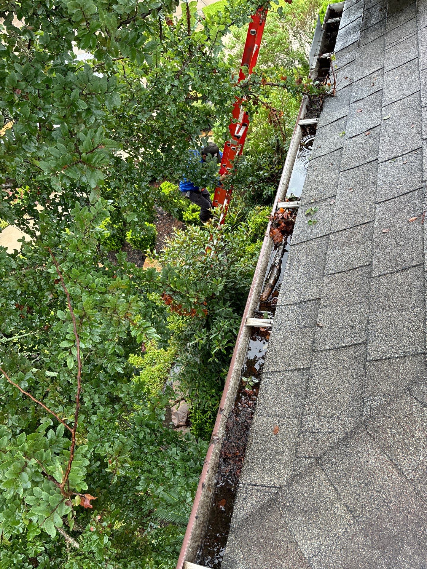 Residential Roofing Installation using Owen's Corning Duration (Lifetime) Shingles by Roof Repair Company