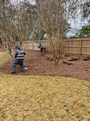 Deerwood Resident | Pine Straw Install