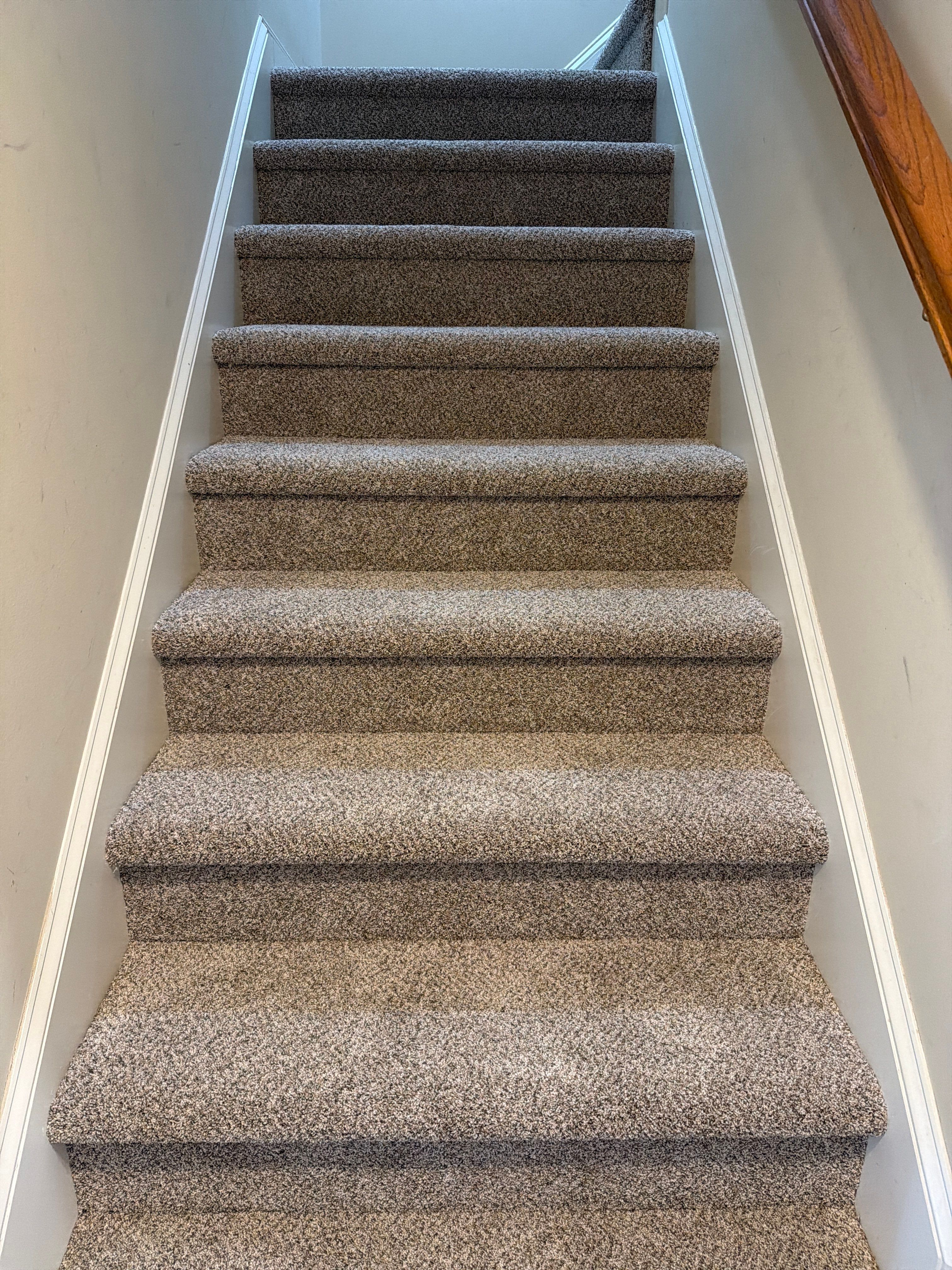 Project: Surrey - Basement Renovation by Hammer Time Remodeling & Repairs, LLC