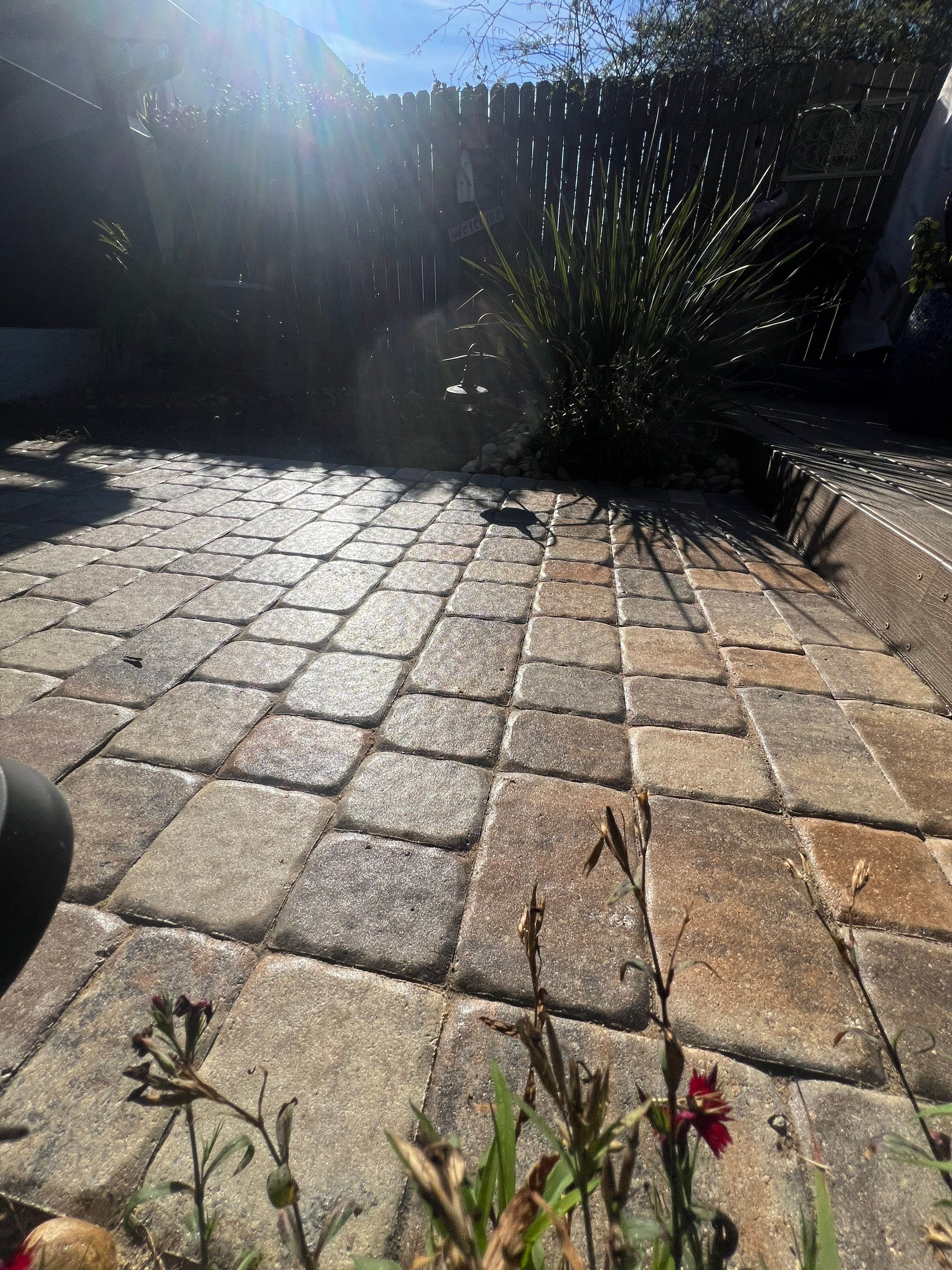 850 Softwash & Pressure Washing Company featured photo.