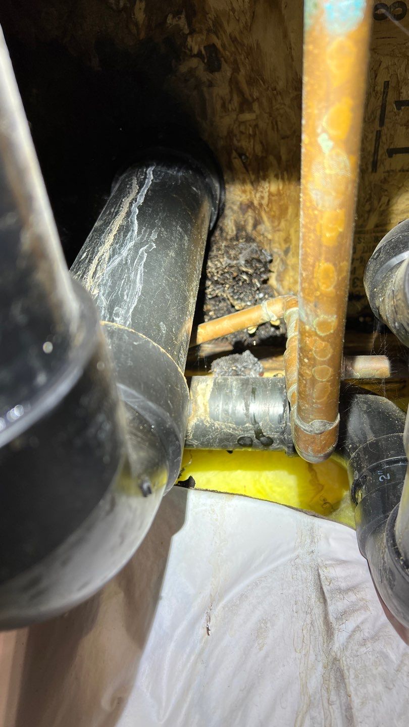 Mold Remediation by Accountable Home Services