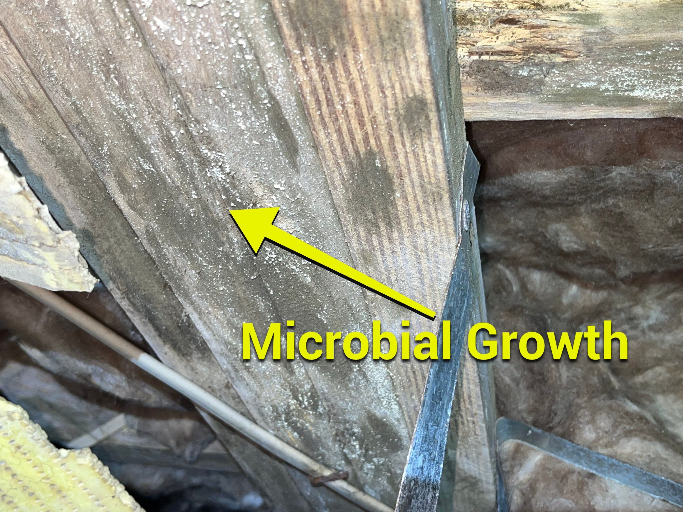 Impact Choice Encapsulation using Tri-Plex Insulation by Impact Crawlspace