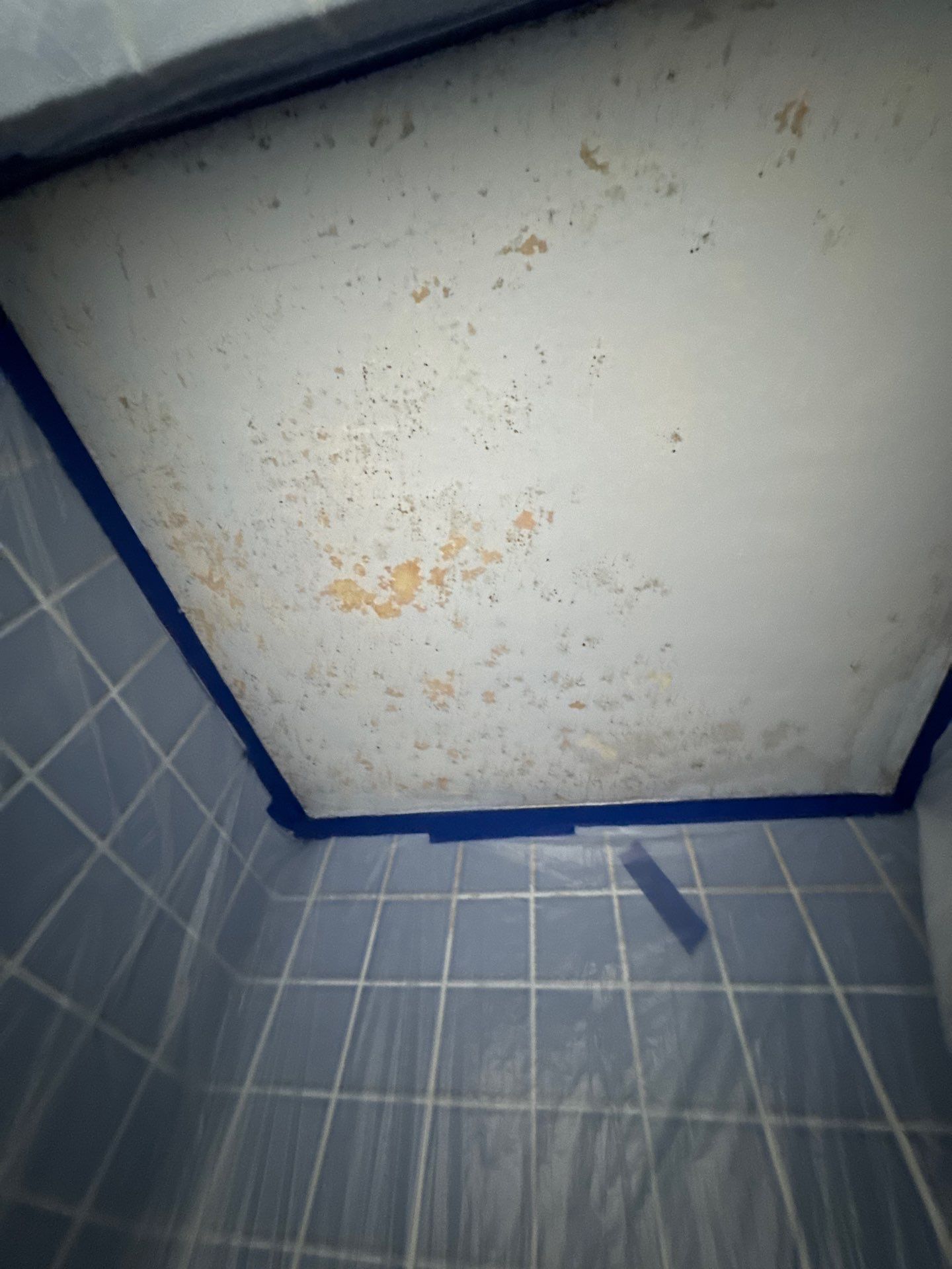 Bathroom-drywall repair and repaint by Herrera’s Bay Area Painting inc.