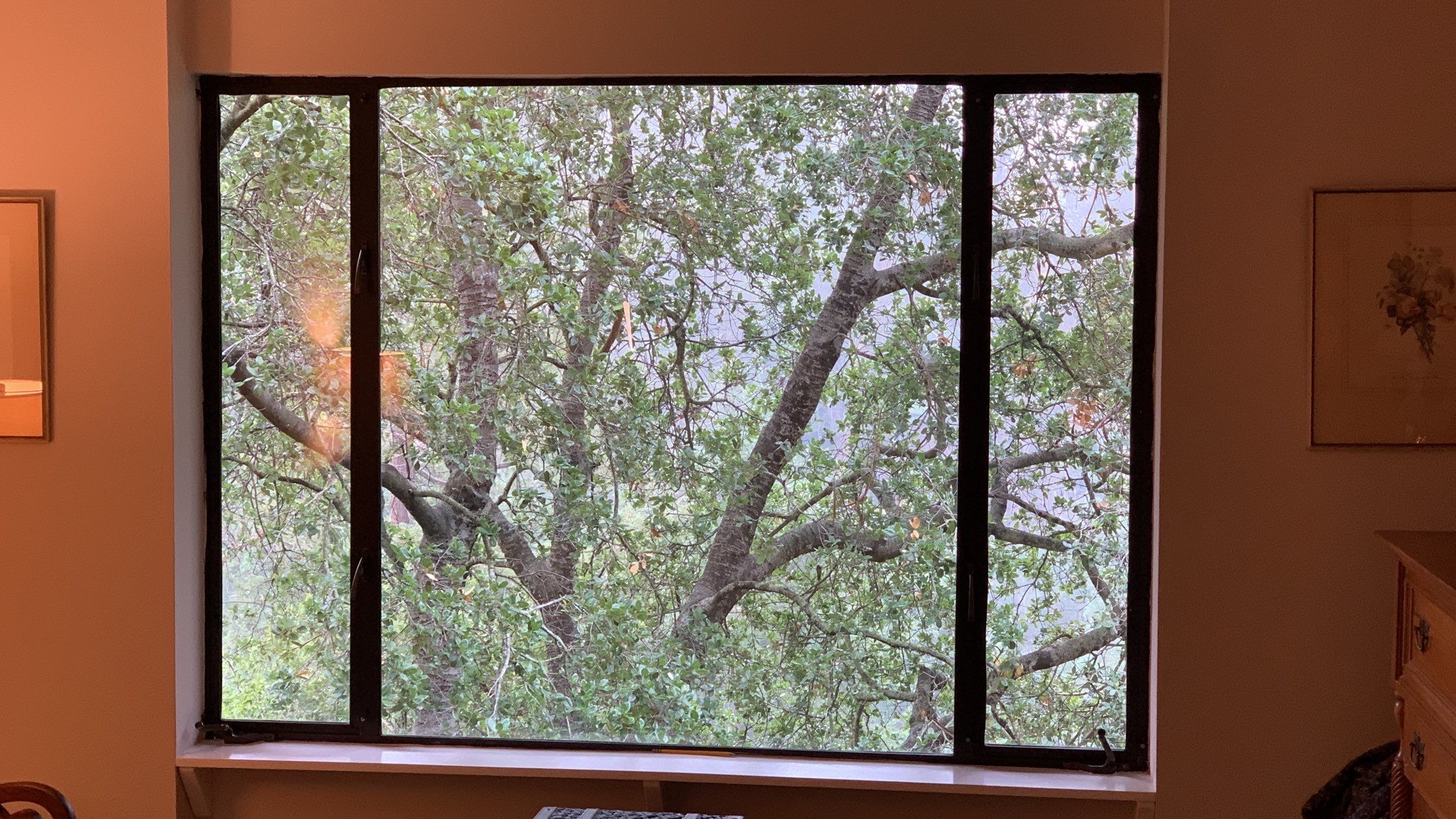 Alisa’s House by SpotFree Window Cleaning