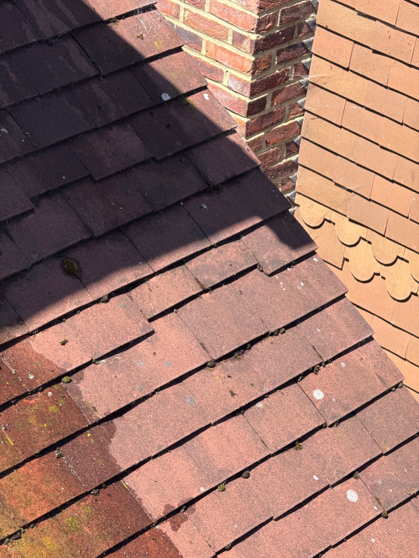 Roof And Driveway Clean by Ges Exterior Cleaning ltd