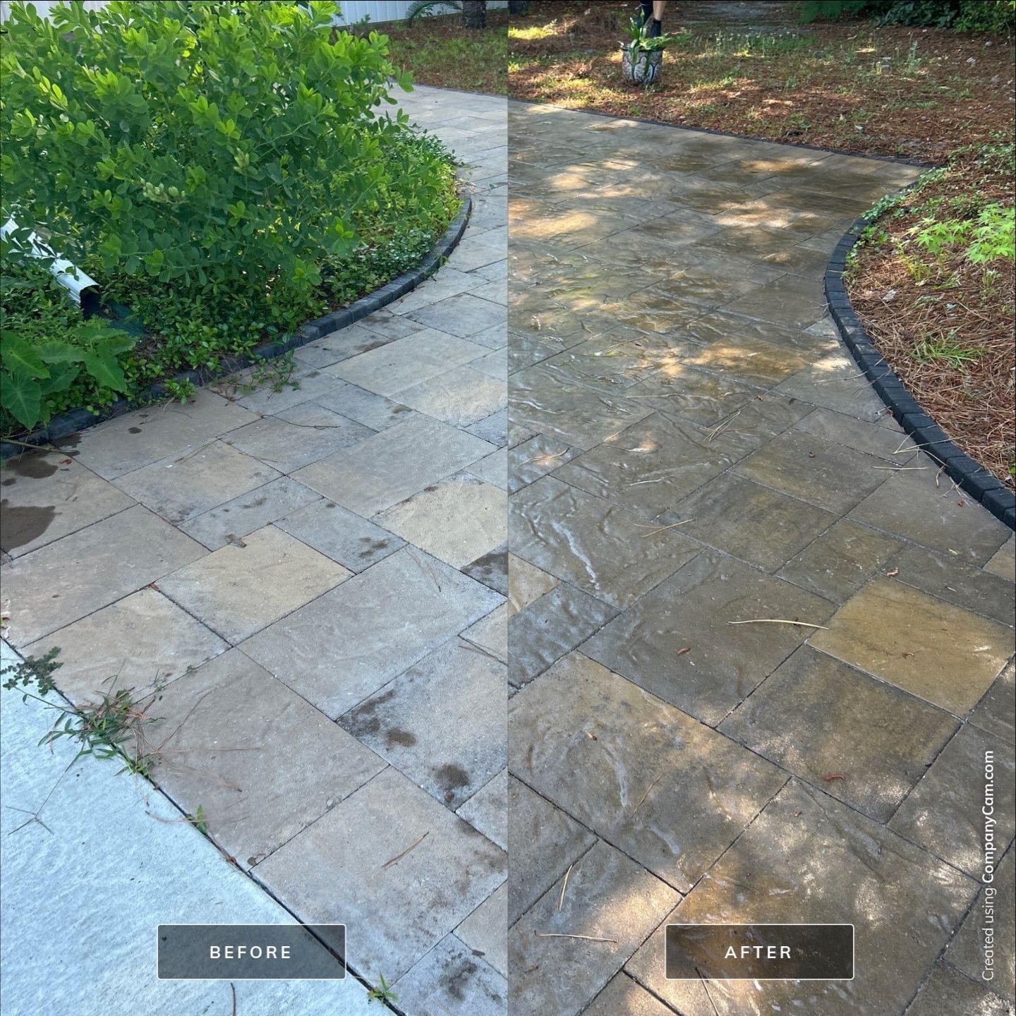 House Washing in Wilmington by Shark Power Washing