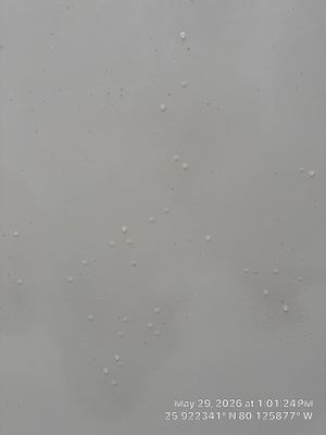 Mold Remediation and Water Damage Assessment in Sunny Isles Beach