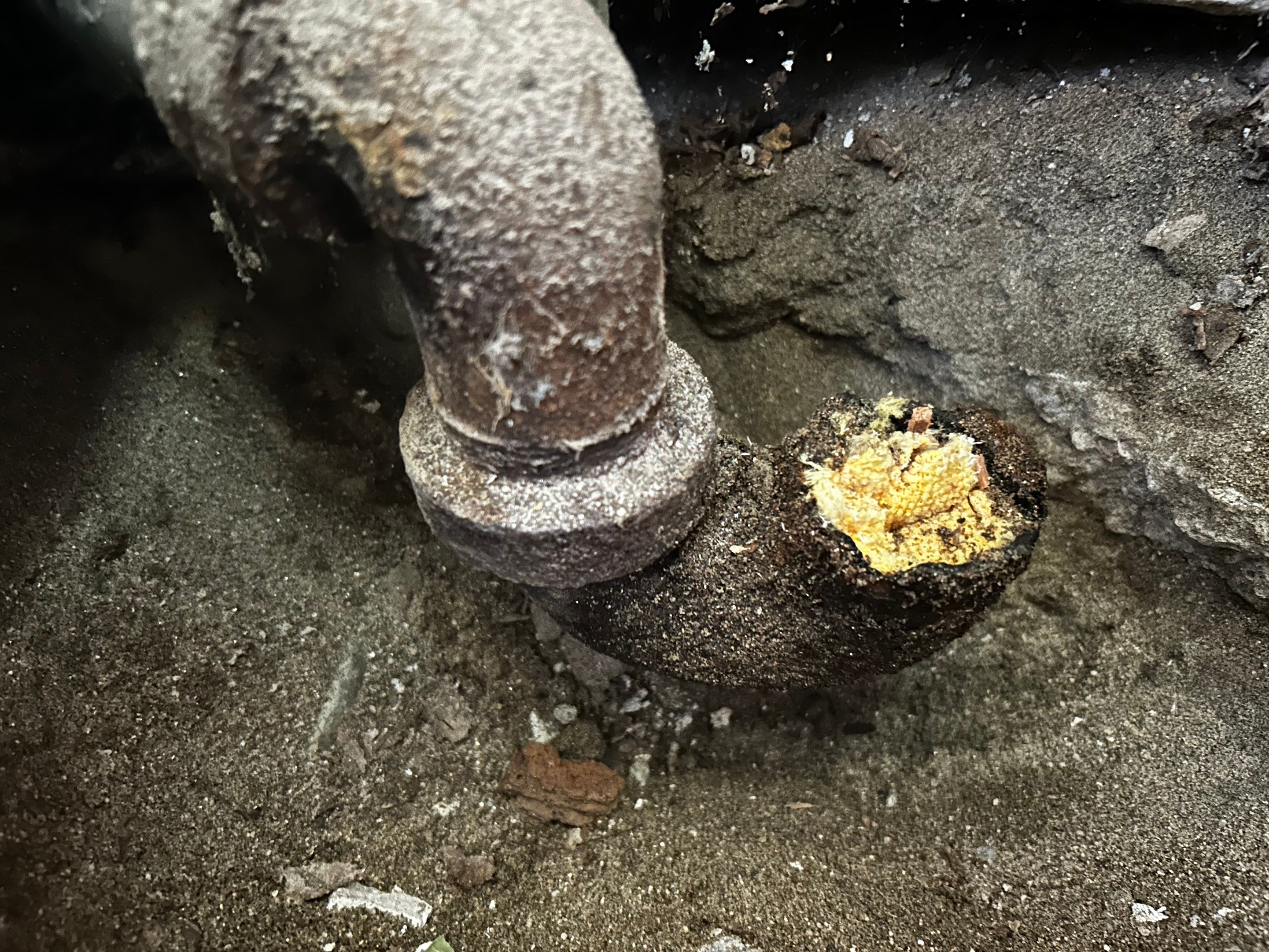 Rental Upgrade by California Home Repair And Remodel LLC