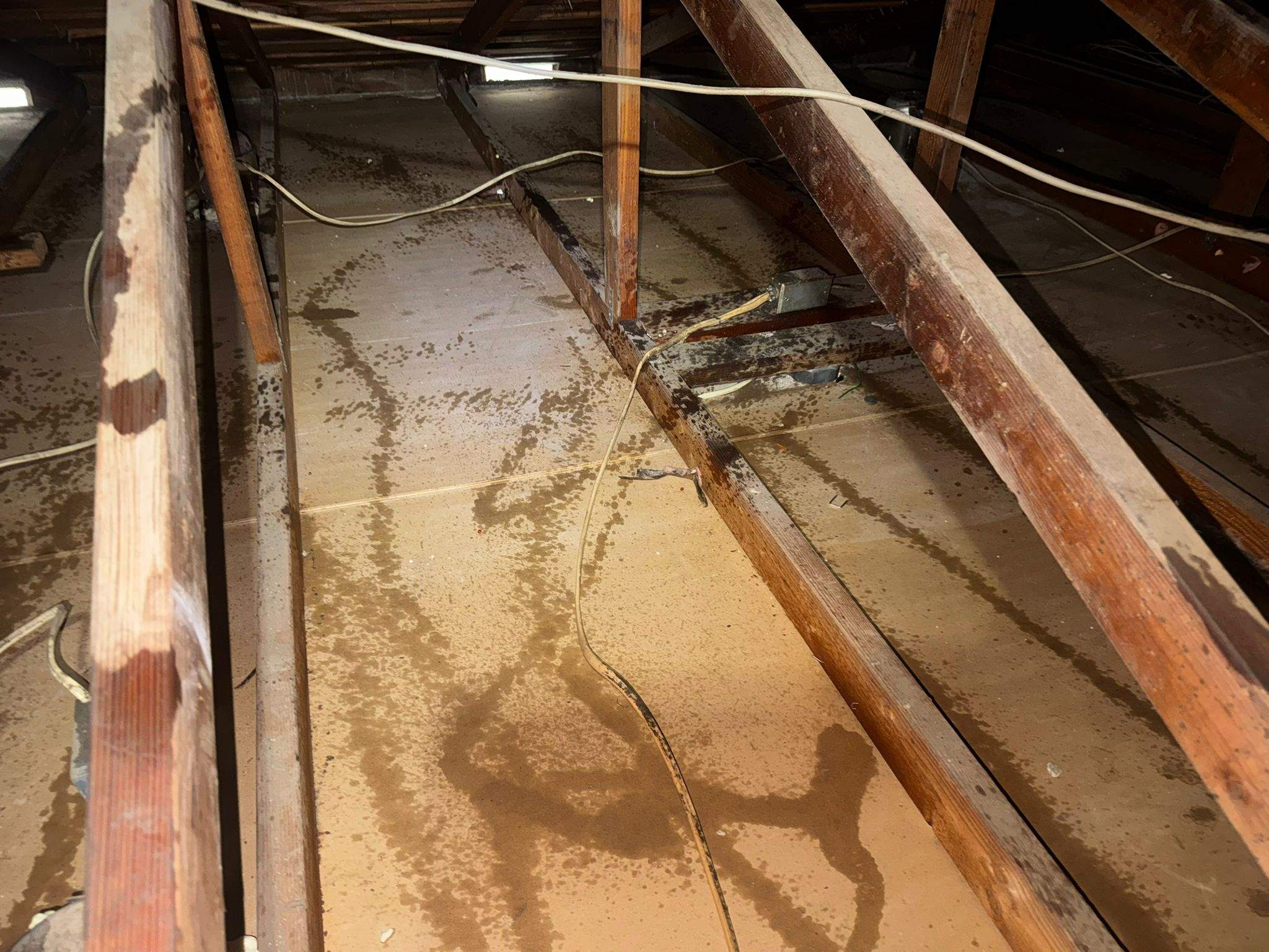 Project by Advanced Attic Solutions by Advanced Attic Solutions