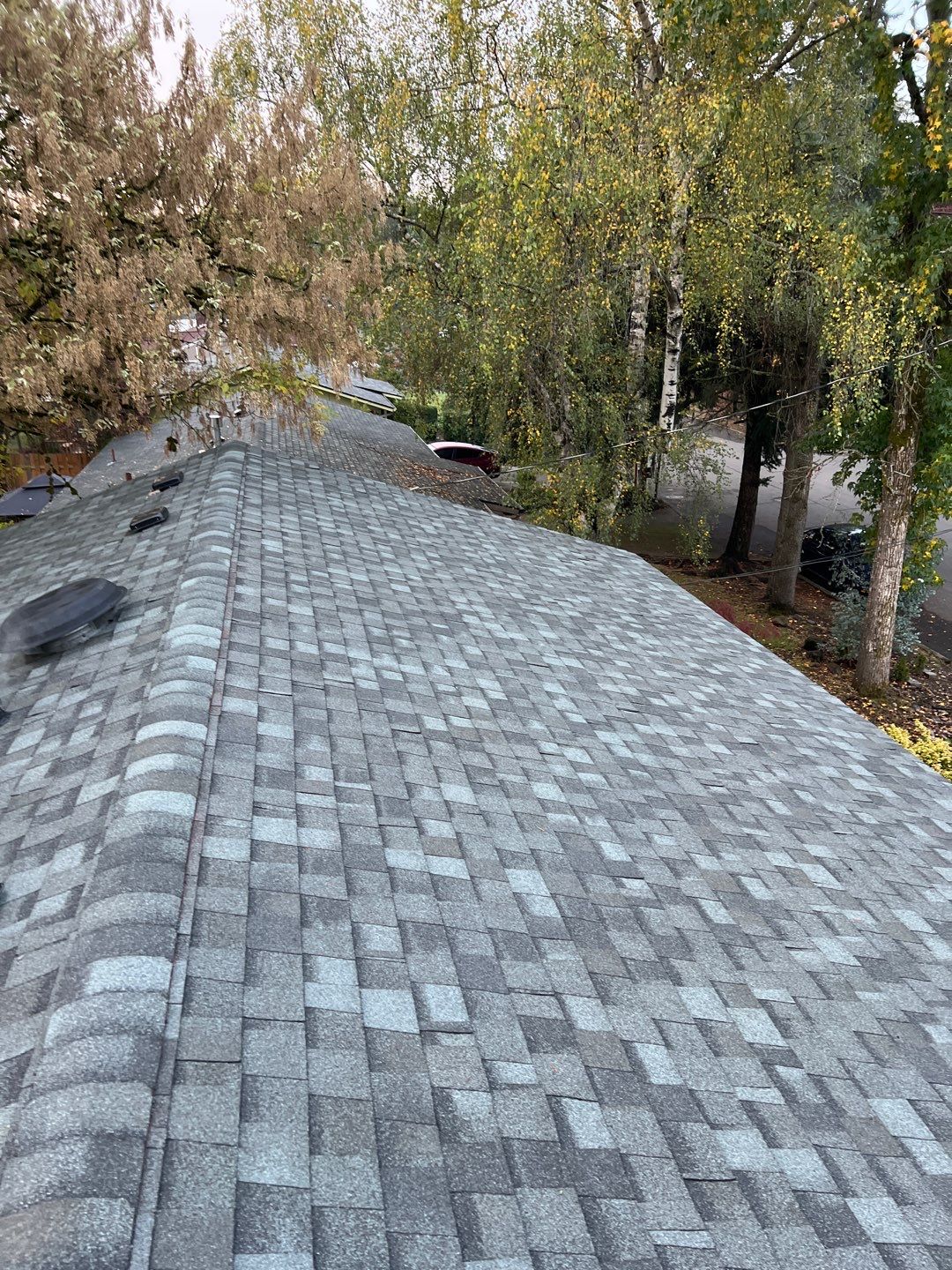 Sierra Gray Shingles by Reimagine Roofing