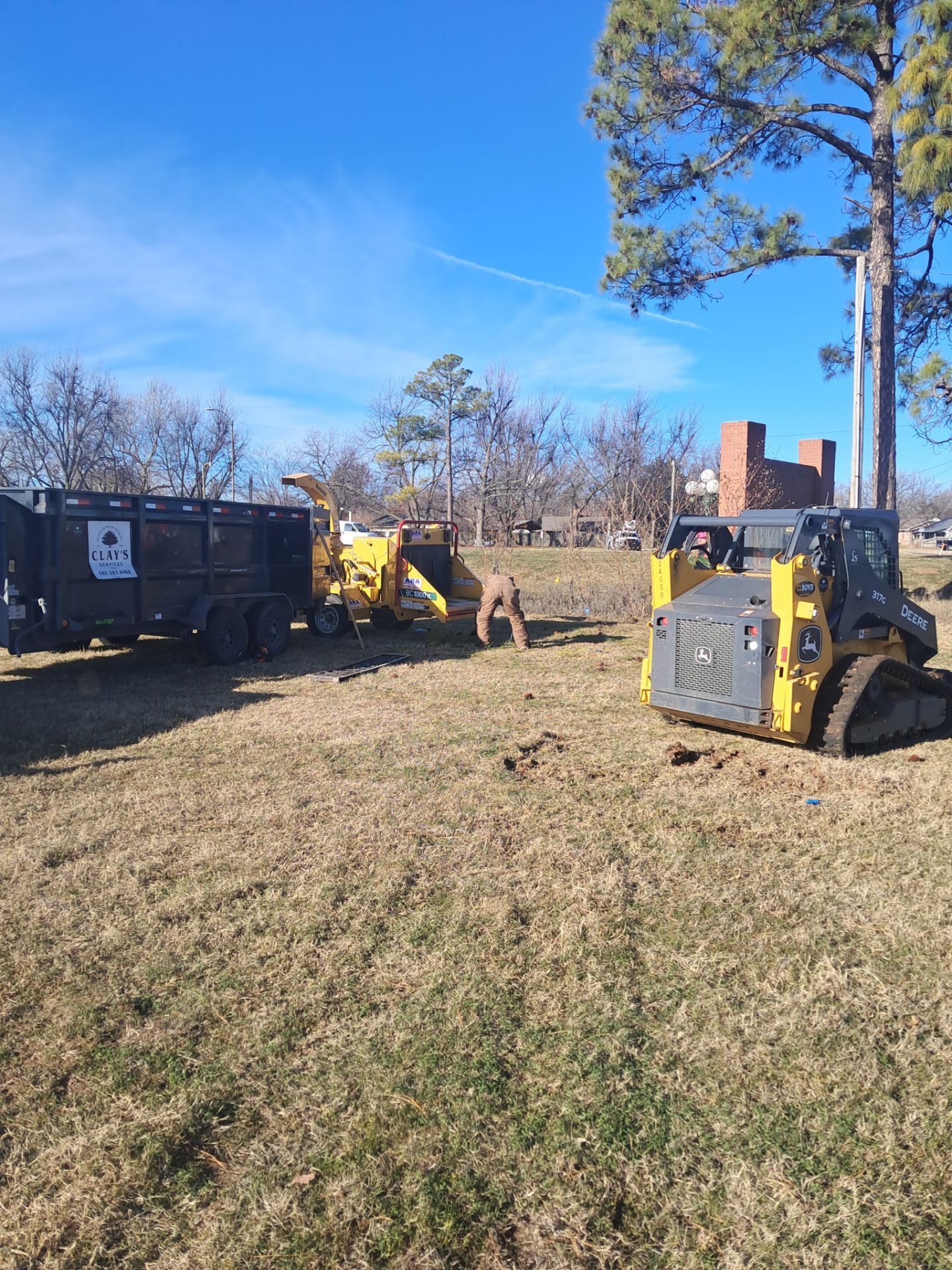 Pine Removals by Clays Services Inc