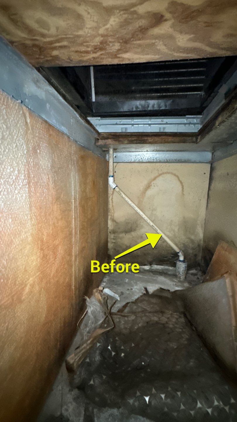 Commercial Air Duct Cleaning in Tavares by Hygienic Air, Inc
